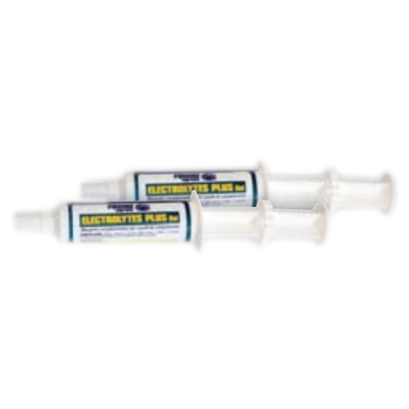 ELECTROLYTES PLUS GEL  favorisce la reidratazione attiva e il recupero di energia da parte del cavallo