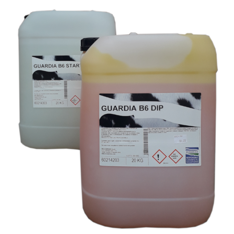 GUARDIA B6 DIP & B6 STARTER (post-dipping filmante) 20+20 Kg.