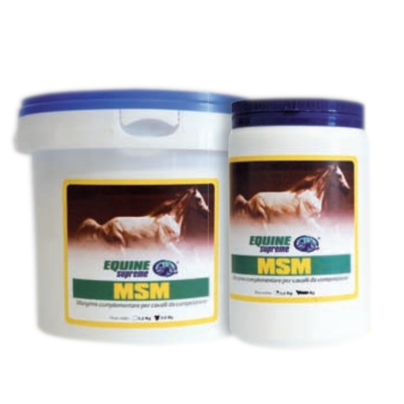 MSM POWDER Mangime complementare per cavalli